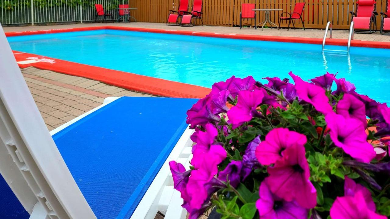 גאנאנוק Quality Inn & Suites 1000 Islands מראה חיצוני תמונה